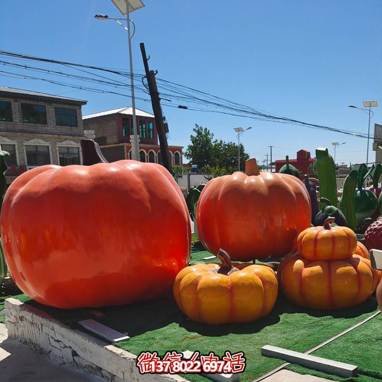 美麗鄉(xiāng)村，收獲美食——南瓜種植示范農(nóng)場